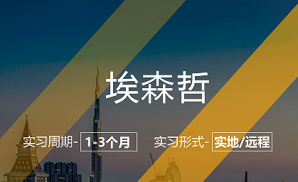 美國(guó)留學(xué)實(shí)習(xí)項(xiàng)目：埃森哲商業(yè)分析實(shí)習(xí)