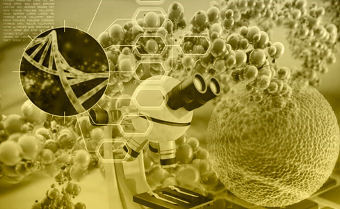 美國留學研究項目：高分子材料在生物醫(yī)學中的應用研究