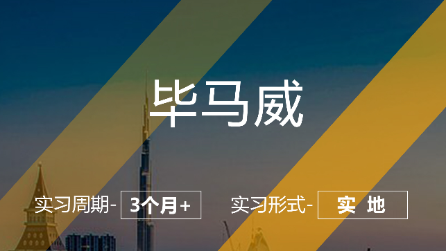 美國(guó)留學(xué)實(shí)習(xí)項(xiàng)目：畢馬威-財(cái)務(wù)咨詢崗（實(shí)地）