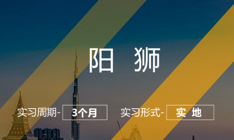 美國(guó)留學(xué)實(shí)習(xí)項(xiàng)目：陽(yáng)獅-執(zhí)行公關(guān)崗（實(shí)地3個(gè)月）