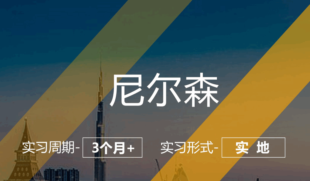 美國留學(xué)實習(xí)項目：尼爾森-商業(yè)分析崗（實地；3個月+）