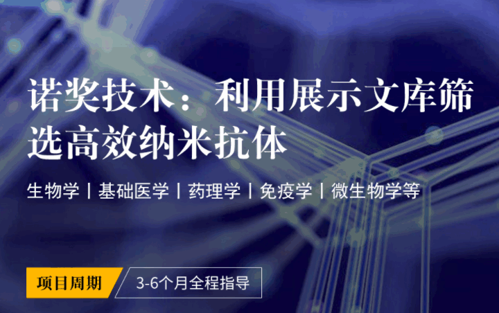 美國(guó)留學(xué)研究項(xiàng)目:利用展示文庫(kù)篩選高效納米抗體(諾獎(jiǎng)技術(shù))