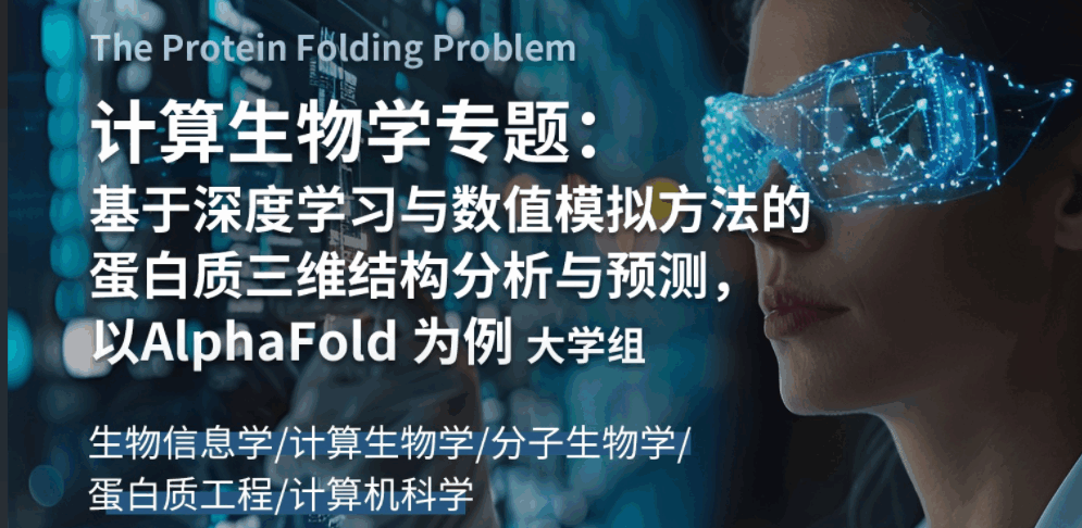 布朗大學(xué)計(jì)算生物學(xué)研究項(xiàng)目：基于深度學(xué)習(xí)與數(shù)值模擬方法的蛋白質(zhì)三維結(jié)構(gòu)分析與預(yù)測