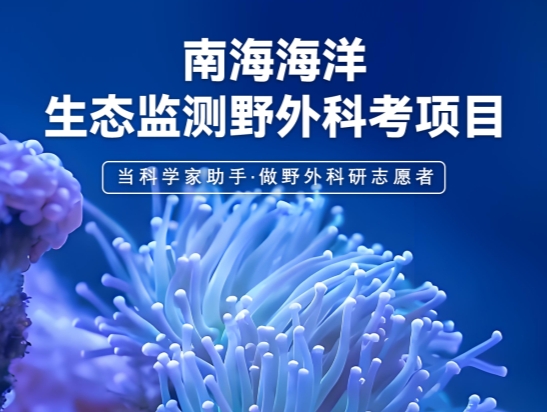 2025關愛海洋生物?南海海洋生態(tài)監(jiān)測公益活動