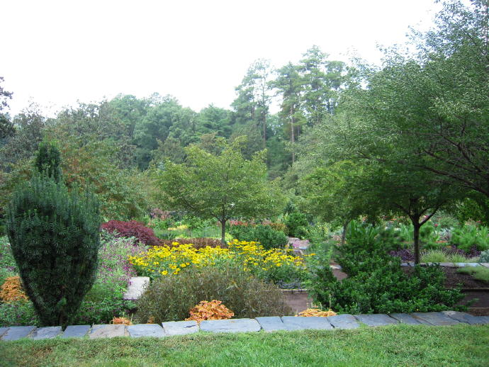 杜克大學(xué)