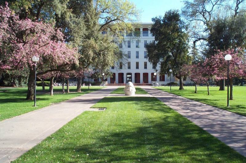 加州大學戴維斯分校