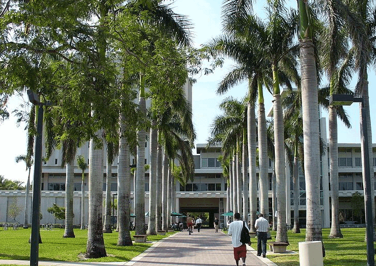 邁阿密大學(xué)