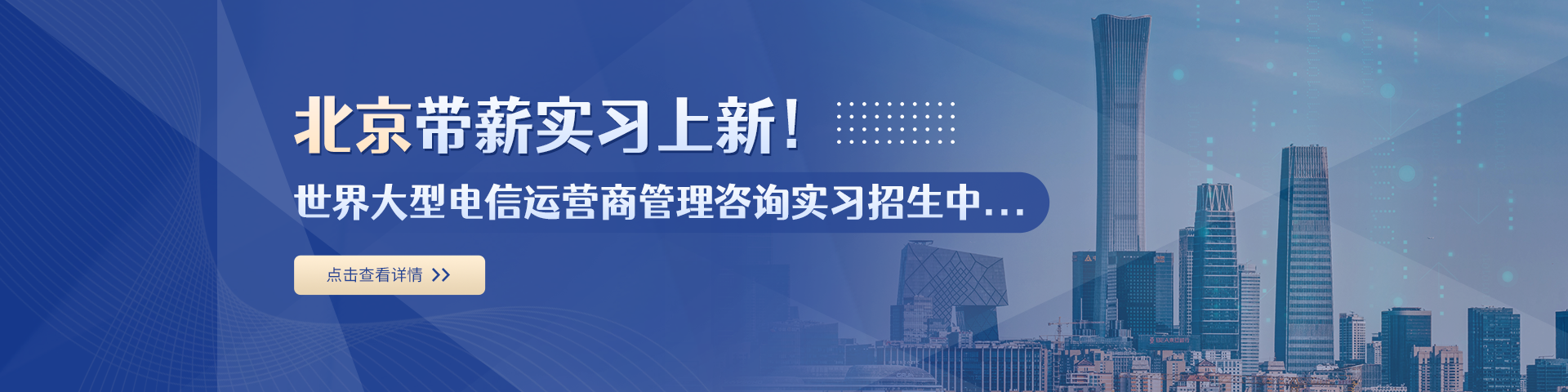 德國電信國際咨詢公司