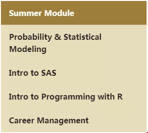 維克森林大學(xué)商業(yè)分析碩士_Summer