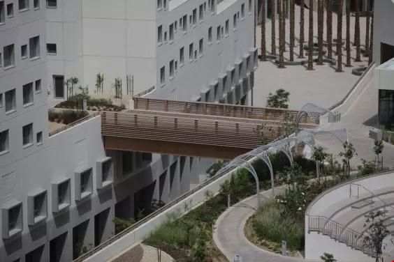 紐約大學阿布扎比分校.jpg