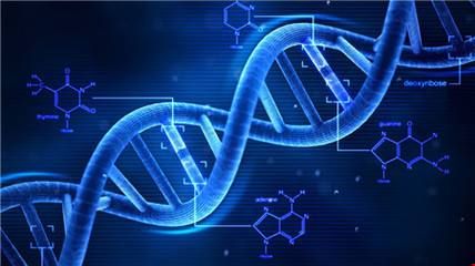 美國讀研什么專業(yè)前景好_生物醫(yī)學