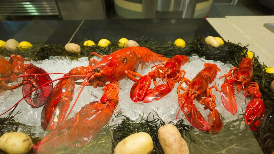 波士頓大學(xué)住宿、食堂條件好嗎?.jpg