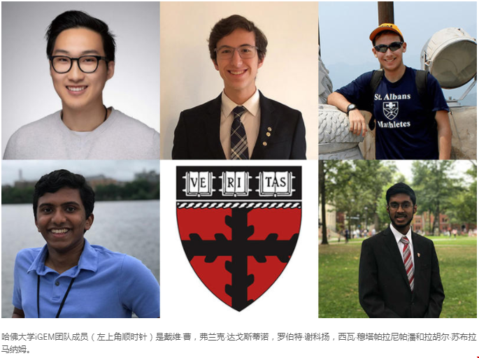 哈佛大學(xué)學(xué)生使用計(jì)算生物學(xué)設(shè)計(jì)COVID-19治療劑