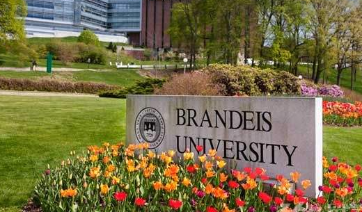 如何撰寫布蘭代斯大學(xué)(Brandeis)補充Essay