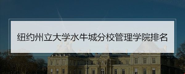 紐約州立大學(xué)水牛城分校管理學(xué)院排名.jpg