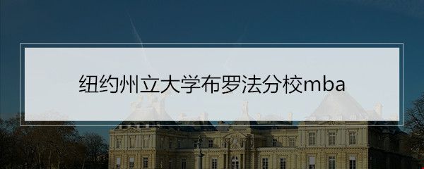 紐約州立大學(xué)布羅法分校mba.jpg