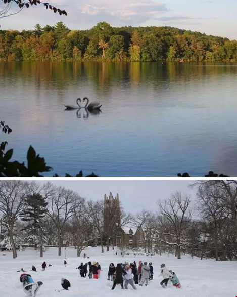 Wellesley College.png