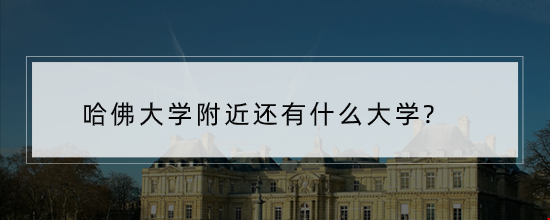 2 (3).png