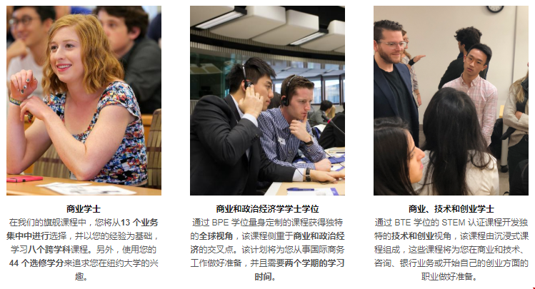 紐約大學(xué)商學(xué)院本科開設(shè)哪些專業(yè).png