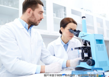 美國(guó)本科生物醫(yī)學(xué)工程專業(yè)排名top30.png