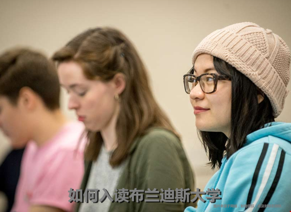 如何入讀布蘭迪斯大學(xué).png