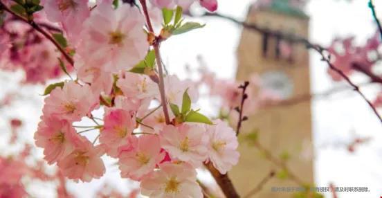 康奈爾大學(xué).jpg