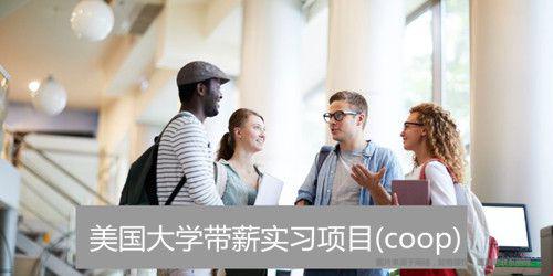 美國大學(xué)帶薪實習(xí)項目.jpg
