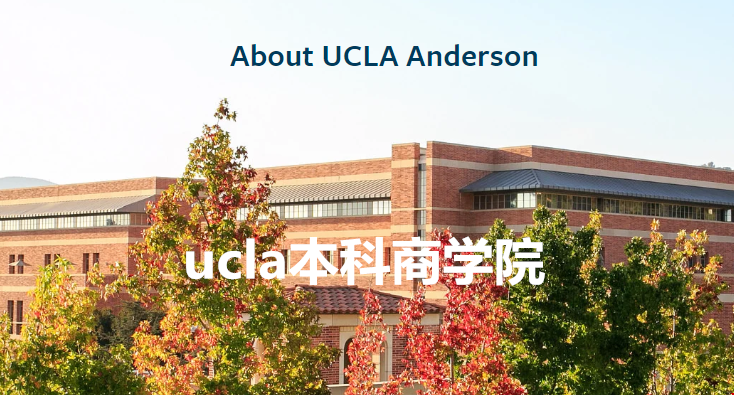ucla本科商學(xué)院.png