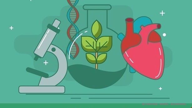 美國研究生生物專業(yè)最好的大學(xué).png
