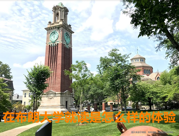 布朗大學(xué)就讀體驗.png