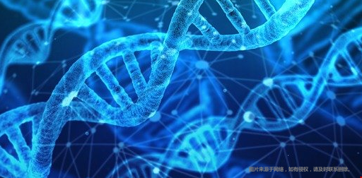 美國生物科學(xué)專業(yè)研究生.png