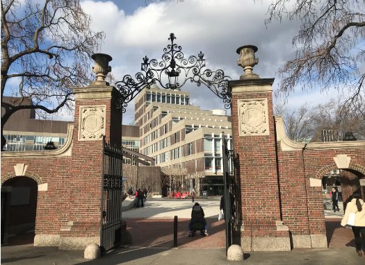 美國常春藤大學早申請錄取
