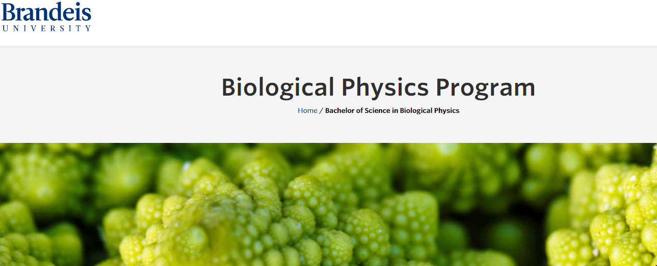 布蘭迪斯大學(xué)生物工程申請(qǐng)要求.png