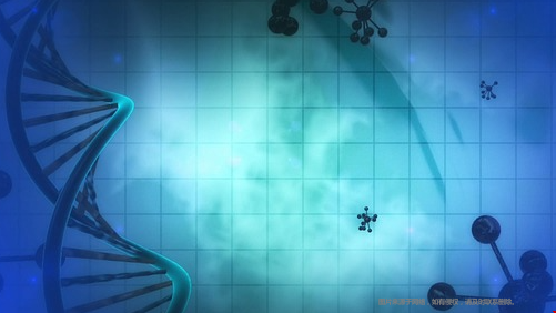 美國生物統(tǒng)計碩士項目分類.png