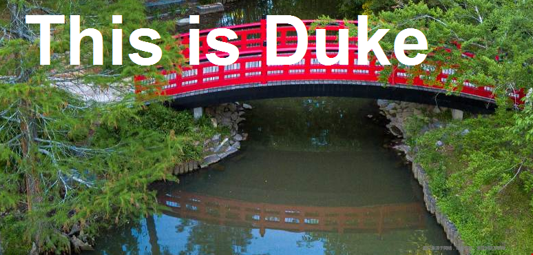美國(guó)大學(xué)小班教學(xué)的學(xué)校.png