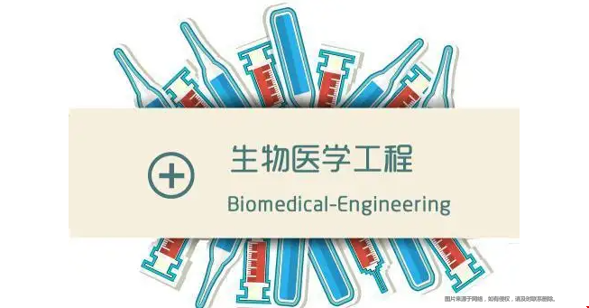 美國生物醫(yī)藥工程專業(yè).png