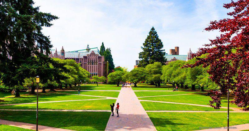 大學(xué).jpg