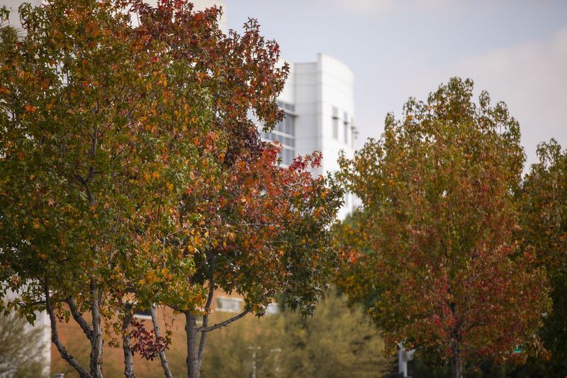 福特漢姆大學.jpg