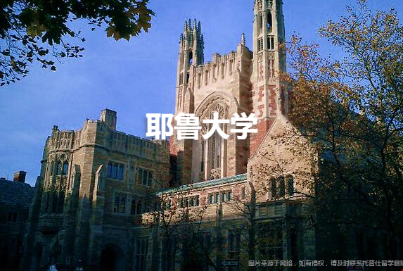 考耶魯大學(xué)需要什么條件.png