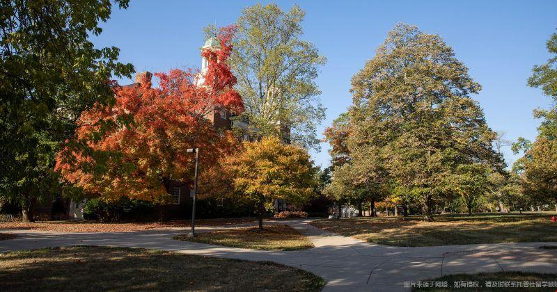 康涅狄格大學(xué).jpg