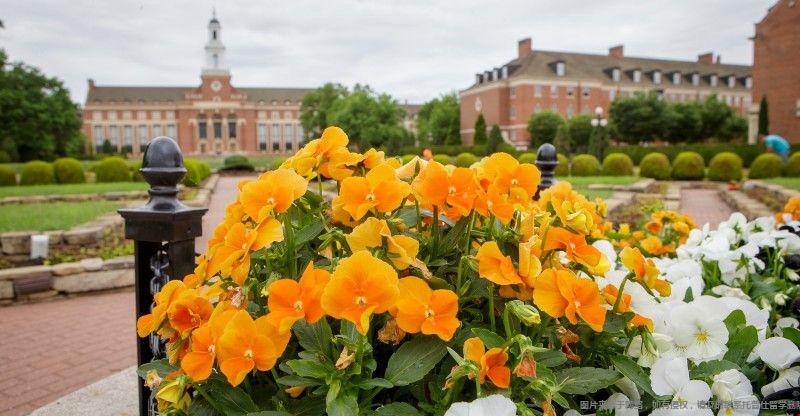 Harvard大學(xué).jpg