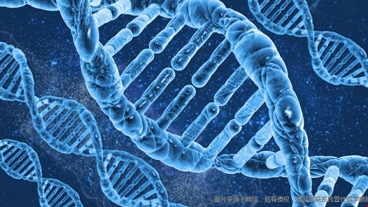 美國生物技術專業(yè)（Biotechnology）介紹png