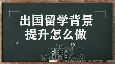 美研申請專業(yè)背景如何提升.png