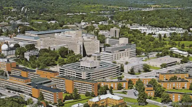 南加州大學馬歇爾商學院STEM學科