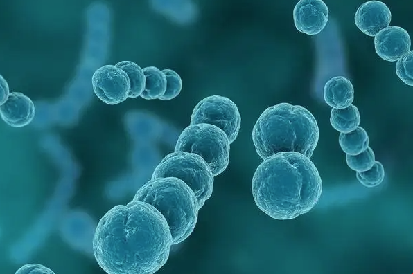 美國微生物學專業(yè).png