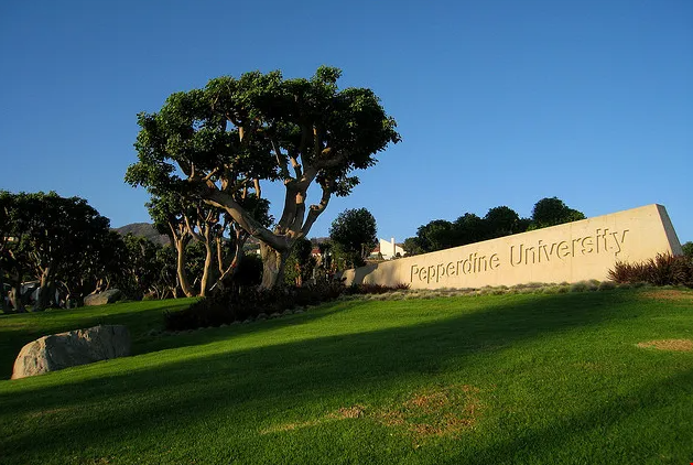 佩珀代因大學本科申請條件.png