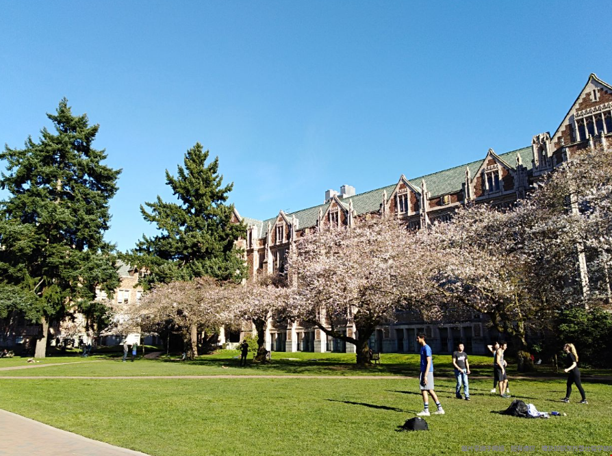 美國華盛頓大學在哪個城市.png