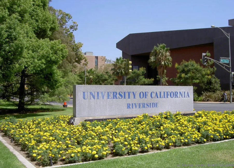 加州大學(xué)河濱分校世界排名.png