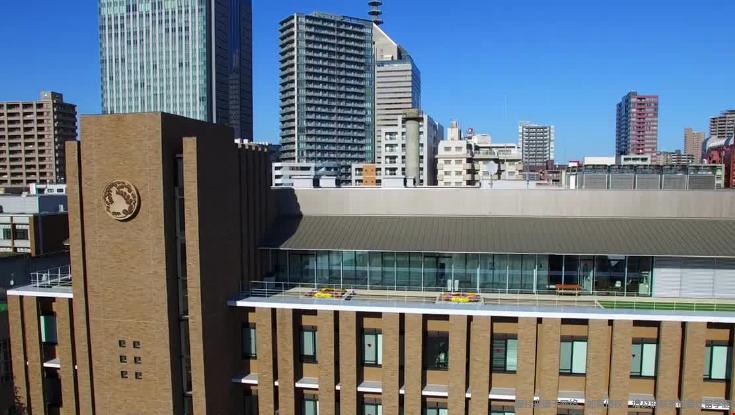 美國東北大學(xué).png