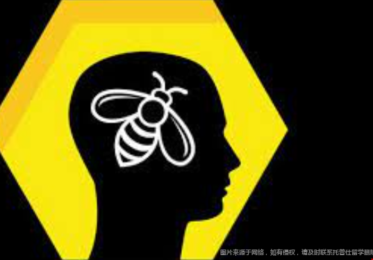 Brain Bee腦科學(xué)學(xué)術(shù)挑戰(zhàn)